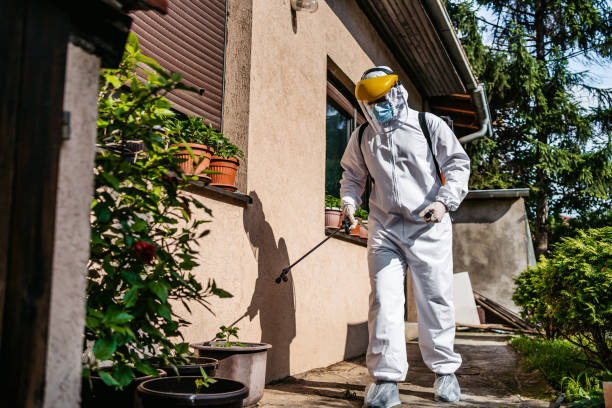 Best Emergency Pest Control  in Hopkins, MN
