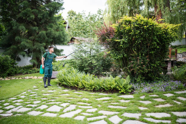 Best Residential Pest Control  in Hopkins, MN