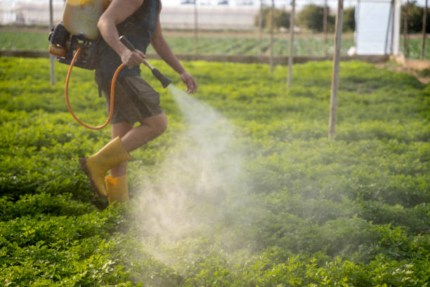 Best Ant Control Services  in Hopkins, MN