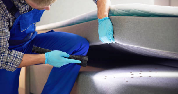 Best Wasp Removal Services  in Hopkins, MN