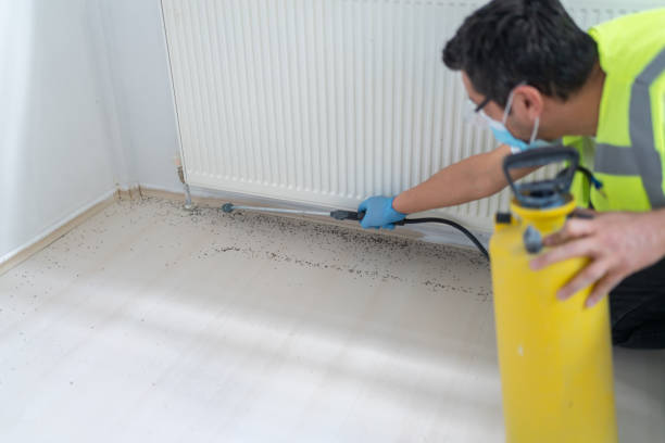 Best Pest Inspection Near Me  in Hopkins, MN