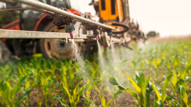Best Pest Removal Services  in Hopkins, MN
